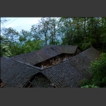 农家小院