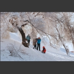 嬉雪
