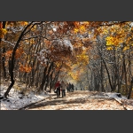 第一场雪之后