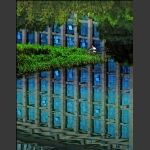 生存空间