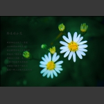 小花