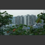 美丽的新家园3