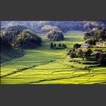 山村