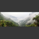 烟雨江西坎