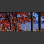 松花湖红叶