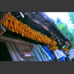 屋 檐 下