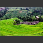 山寨