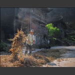 金家宅院