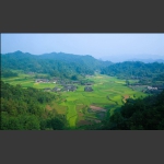 丰收在望--石堰坪