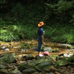 山青水秀映美