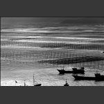 霞浦滩涂