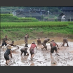 糊仓