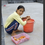 摘枞菌的女孩子