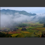 雾漫小山村