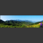 拍群山峻岭