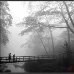雾里幽静