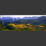 山界田园-杨家界