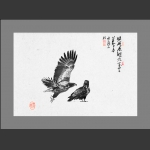 鲲鹏展翅--白尾海雕