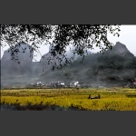 秋雨崀山
