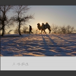 夕下归途