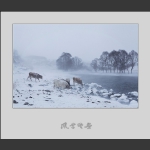 风雪冬画