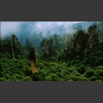 西海峰林春色