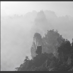 仙　　境