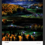 白桦曙照