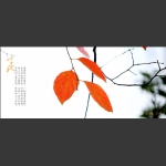 吟秋4