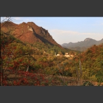 永顺红叶 3