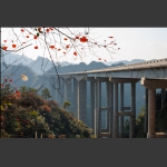 秋到洞坎河