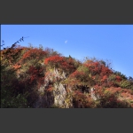 日月同辉