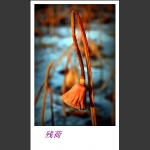 残荷