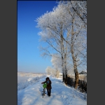 雪中行