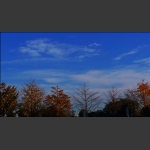 秋叶碧空