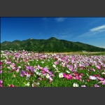 蟒山脚下好风光