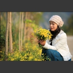 秋菊