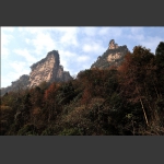 深秋的天子山