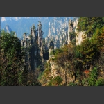 深秋的天子山3
