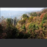 深秋的天子山2
