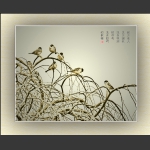 麻雀