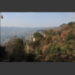 深秋的天子山4