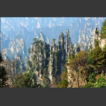 深秋的天子山8