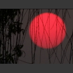 夕阳