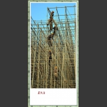 建设者