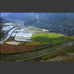 大地调色板