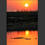 《夕阳无限好》