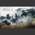 天子山金秋云雾