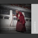 青海塔尔寺僧