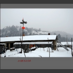 风雪山村正月里